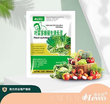 �~�˶�S�������L(zh��ng)�`-�A����