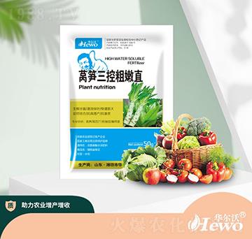 �n�S���ش���ֱ-�A����