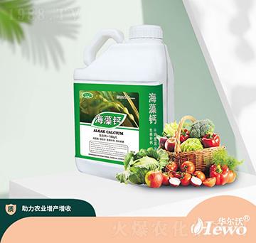 �����}-�A����