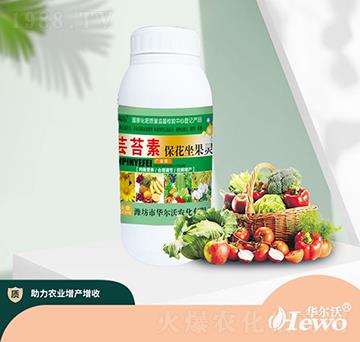 �|̦�ر��������`-�A����