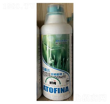 �������-�ѷ�Ԫ