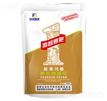 膨果風(fēng)暴-國智壹肥