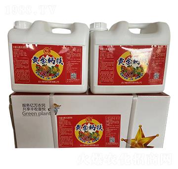 �S���}�V-��ƕN����