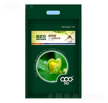 �Ϲ������-���ɿ�