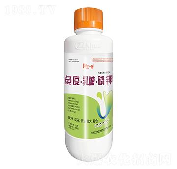 1000g大量元素水溶肥料-免疫·乳糖·磷鉀-根土一號(hào)-中農(nóng)化