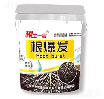 根爆發(fā)-根土一號(hào)-中農(nóng)化