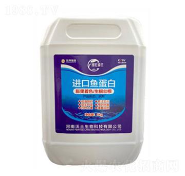 �M���~����-�ډѴT�S-��������