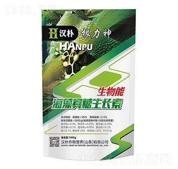 ����������L(zh��ng)��-������-�h��