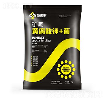 �VԴ�S�����+��-ʩ����