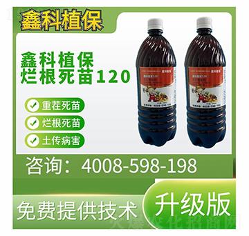 升級版爛根死苗120-鑫科植保