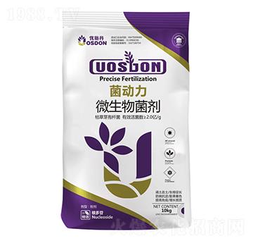 ����(d��ng)��-��(y��u)ʩ��