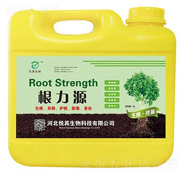 ����Դ-����