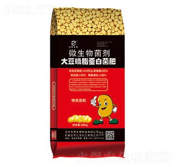 ����֬���׾���-΢�������-����