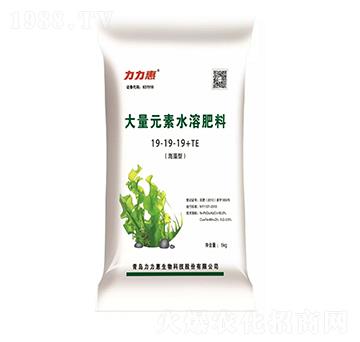 �����ʹ���Ԫ��ˮ�ܷ���19-19-19+TE-���������B(t��i)