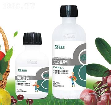 �����-���S��