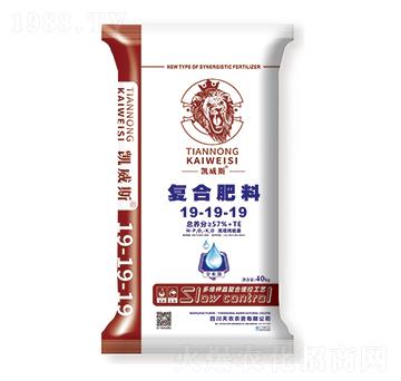 ����������ͺϷ���19-19-19-�P��˹-���r(n��ng)�r(n��ng)�Y