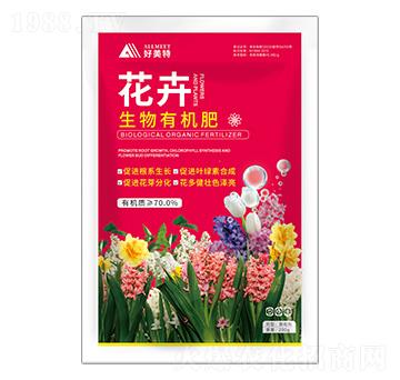 ���������ЙC(j��)��-������