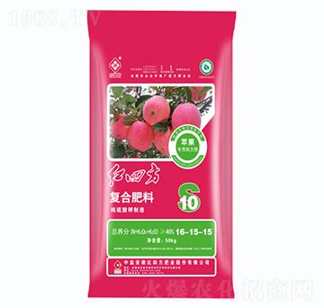 �O�����ÏͺϷ���16-15-15-�t�ķ�