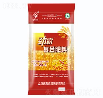 С�����������ÏͺϷ�20-20-8-�Ű�-�t�ķ�