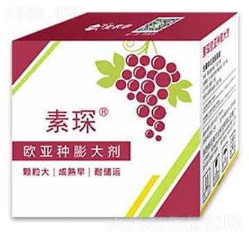 �W���N�����-���-���r�A