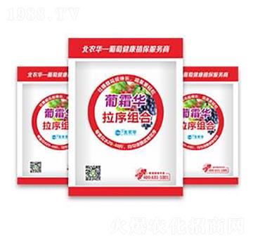 ��������M��-��˪�A-���r�A