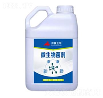 ΢�������-�з�����