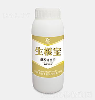 �����������l(f��)ʽ������-��(r��n)����