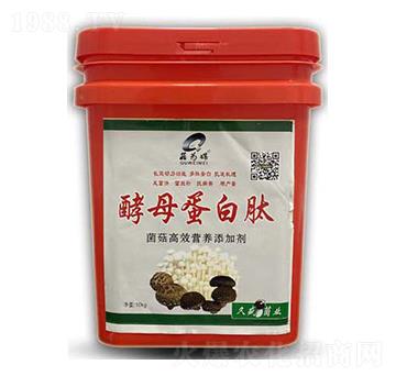 ��ĸ������-����ý-���_����