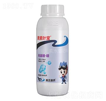 �����ǡ���-�W���~��-