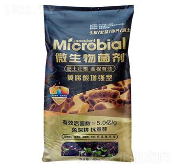 �S�����������΢�������-�Z�鱾�r(n��ng)�I(y��)