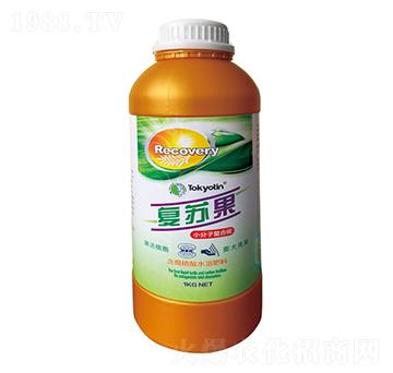 小分子螯合碳-復(fù)蘇果-拓田農(nóng)業(yè)