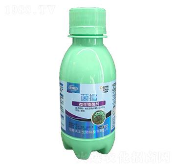 ����΢�������-����-��������