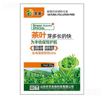 茶葉芽多長(zhǎng)的快-翠巢-妙農(nóng)生物