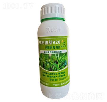 茶樹專用茶樹催芽920-農(nóng)沃綠