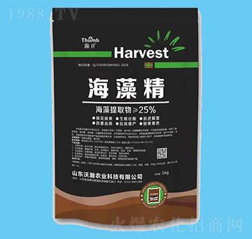 ���徫-��l(w��i)-����r�I(y��)