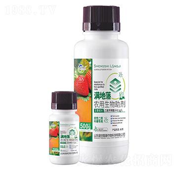 �M����-�r����������-ʢ��¡��