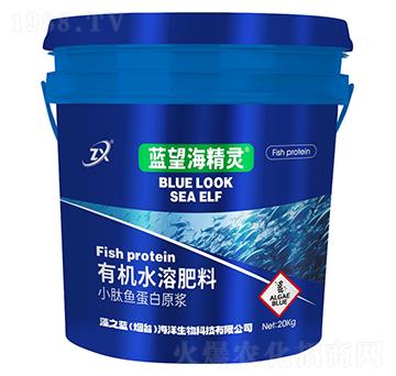 小肽魚(yú)蛋白原漿-藍(lán)望海精靈-藻之藍(lán)