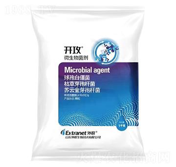 ΢�������-�_��-��(li��n)����