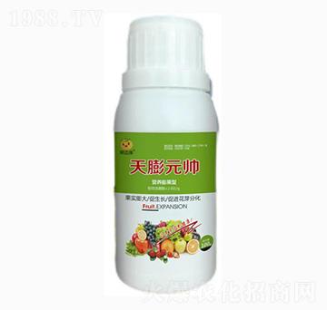 營(yíng)養(yǎng)膨果型葉面肥-天蓬元帥-果達(dá)康肥業(yè)