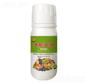 100g營(yíng)養(yǎng)膨果型葉面肥-天蓬元帥-果達(dá)康肥業(yè)
