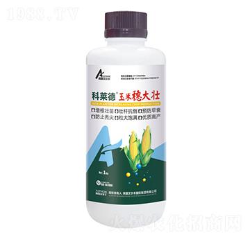 ��������-���R��-��¶�����S