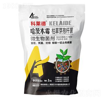 ����ľù���ݲ�ѿ�ߗU��-���R��-��¶�����S