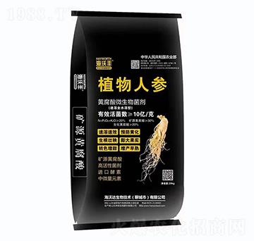 黃腐酸微生物菌劑-植物人參-海沃豐-海沃達(dá)生物