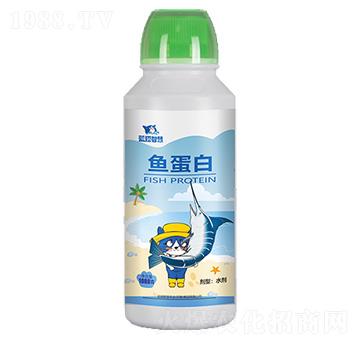 �~(y��)����-�{(l��n)؈�ǻ�