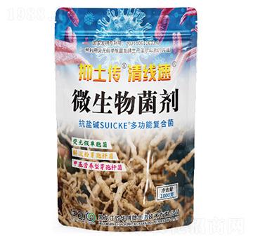 ΢�������-�������往(xi��n)��-�A��(chu��ng)