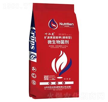 �VԴ�S����⛣�������)-�~֪��-���r����