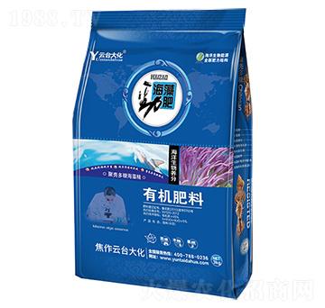 ����ŷ�-���_��