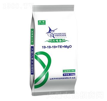 �~������ø����Ԫ��ˮ�ܷ�19-19-19+TE+MgO-�f���~-�R�S�r(n��ng)�I(y��)