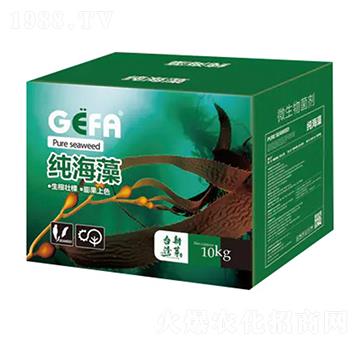 ������΢�������-����