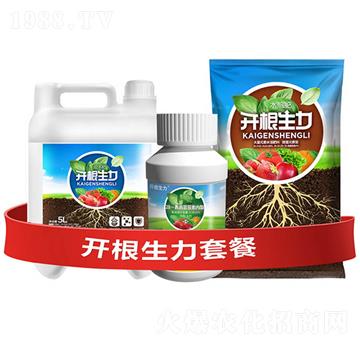 開根生力套餐F-云大科技